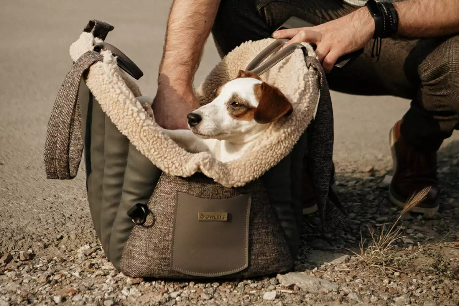 Dog Carrier Purse for Toy German Spitz