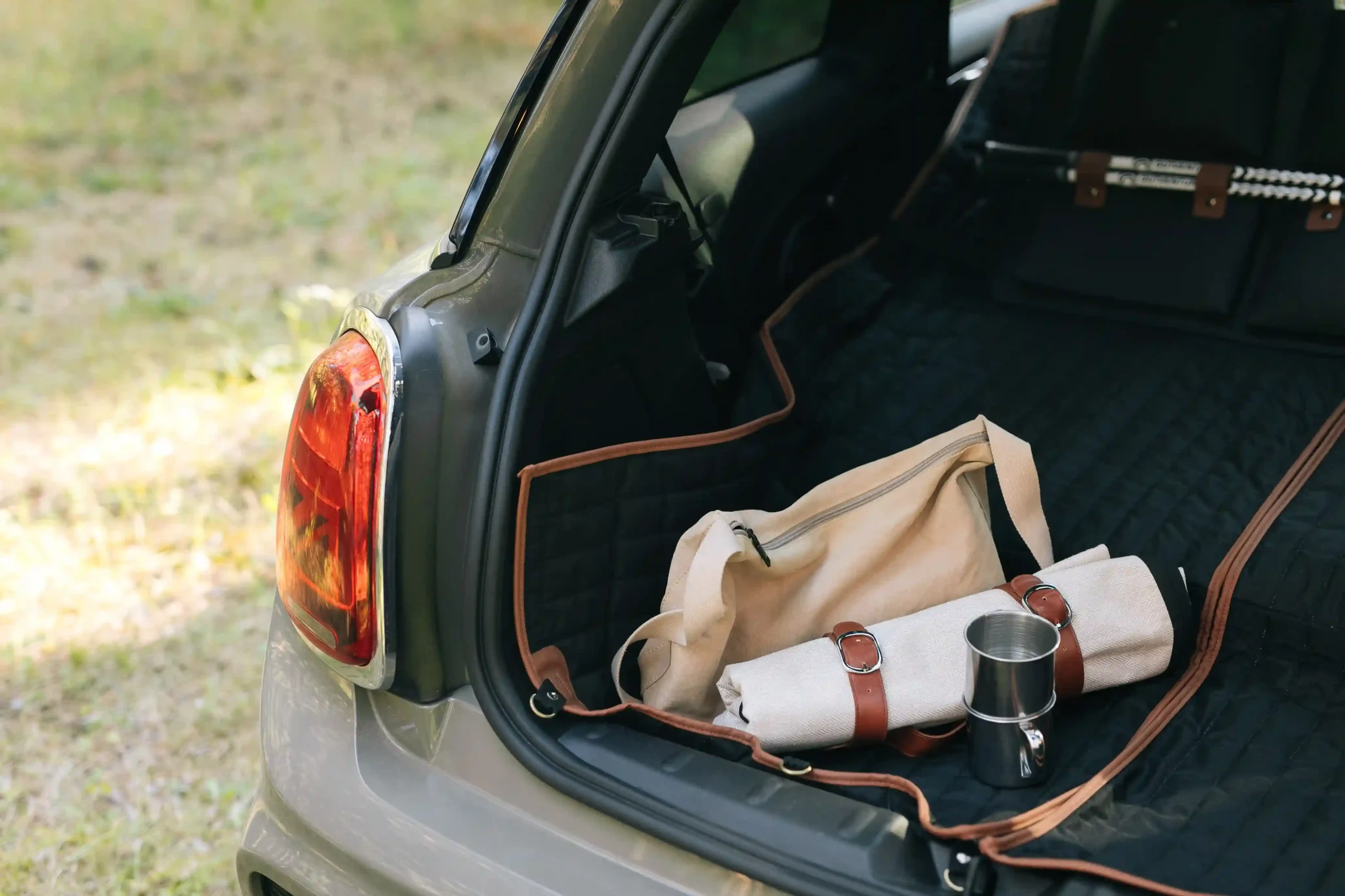 picnic blanket for two